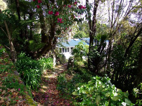 versteckes Haus in Titirangi