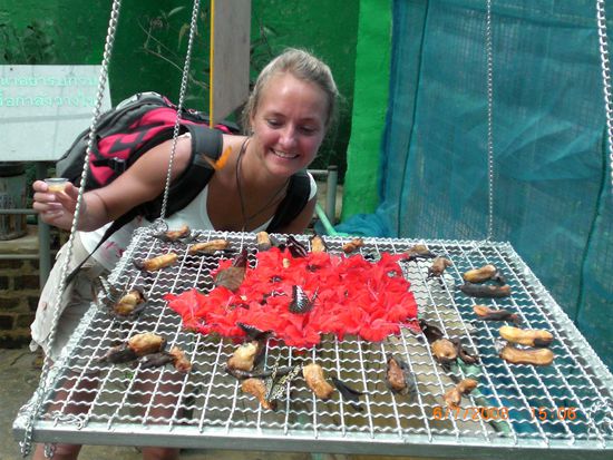 Ich krieg euch alle!!! 