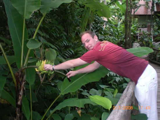 "Hier sind die Bananen zum greifen nah."