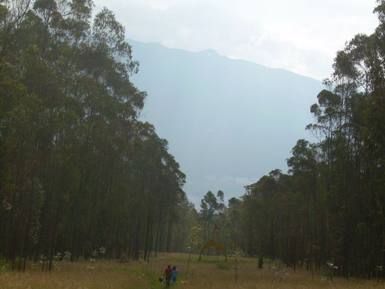 blick in den park und von dort auf die Berge