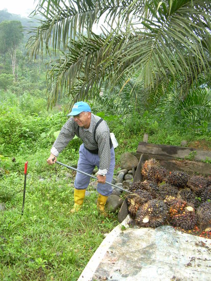 pepe bei der Arbeit!