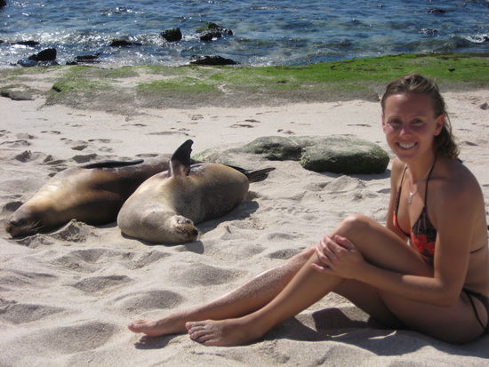 Sealions on the Coast of San Cristobal
