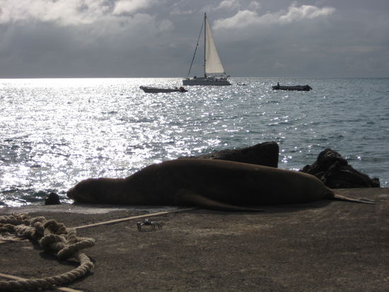 late afternoon on Floreana Island