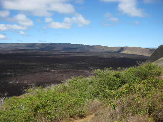 Vulcano Sierre Negra on Isabela Island