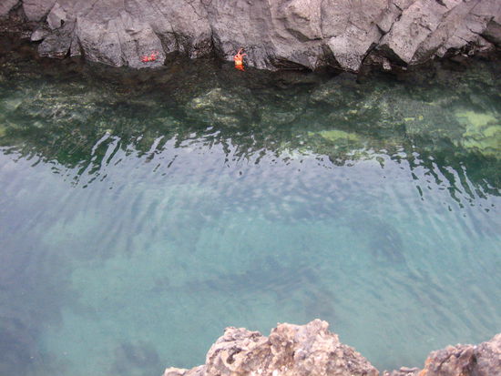 Can you see the shark in the water?