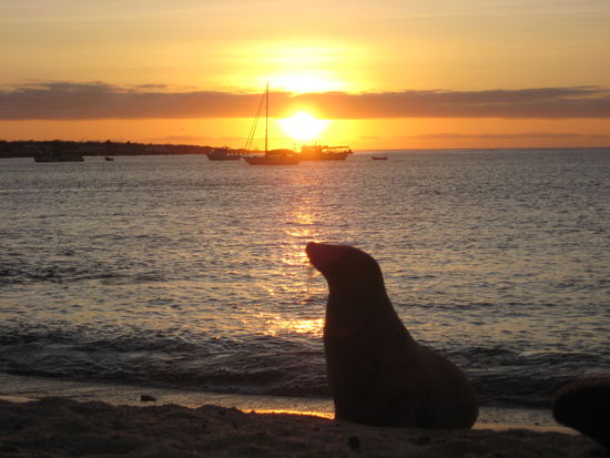 Ciao! San Cristobal.