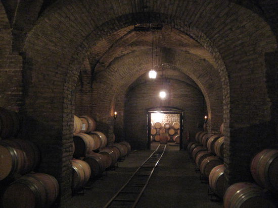 Winery Viña Santa Carolina