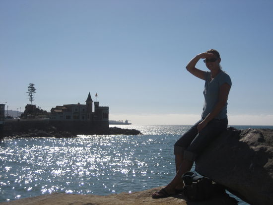 Castillo Wulff, Viña del Mar