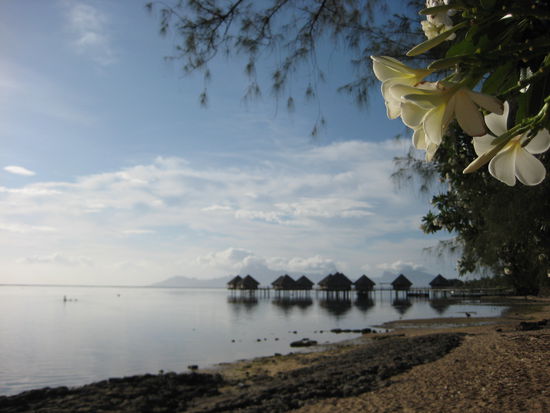 Tahiti public beach, in the water even better... go snorkling and feel like one of hundred fishes in an aquarium