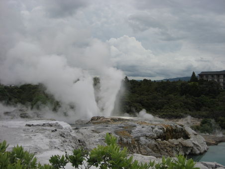 Geysers in Te Puia, Rotorua
