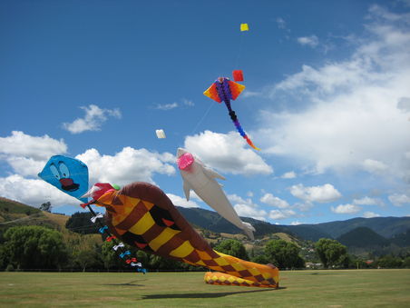 Kite Festival, Nelson