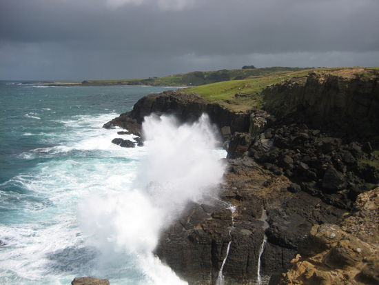 Slope Point, most southern point of the south island of NZ