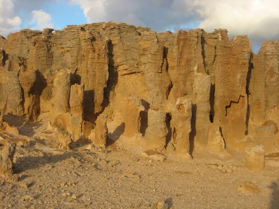 Petriefied Forest, which is not
