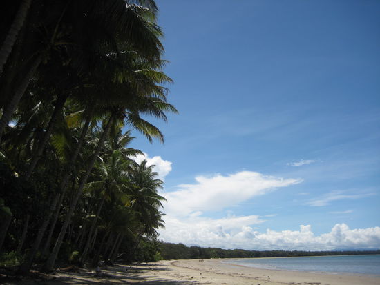 4 Miles Beach, just beautiful!
Port Douglas