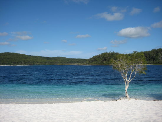 Lake McKenzie, Fraser Island
No artificial colours in use and
yes, you can swim here!