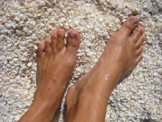 Shell Beach - made up of millions of small white shells