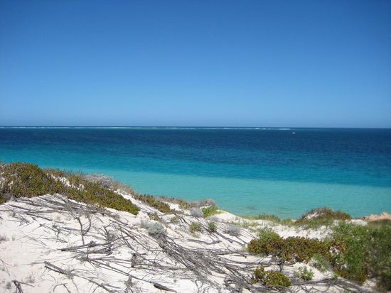 Coral Bay, Ningaloo Marine Park (Reef)