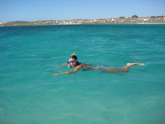 Snorkeling Coral Bay