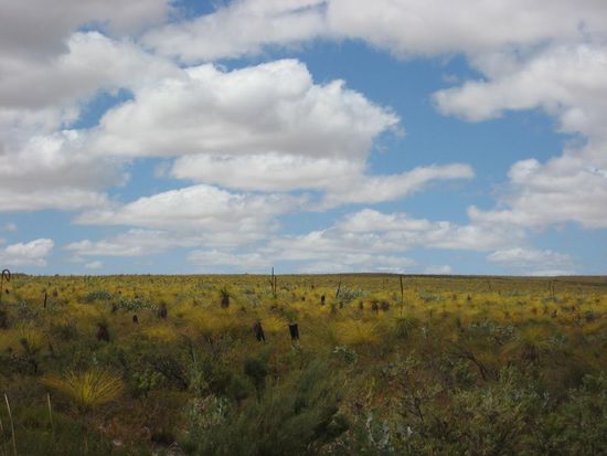 Western Australia III