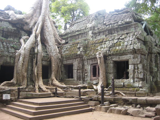 Ta Prohm (The Tomb Raider Temple)