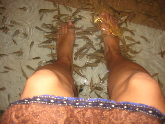 Doctor Fish nibbling my feet at nightmarket, Siem Reap