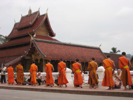 Offering to the monks in Luang Prabang, 06.00am.