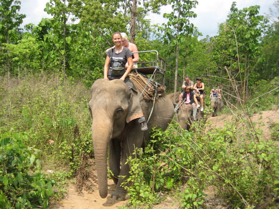 Riding an elefant like a mahout - huge experience!