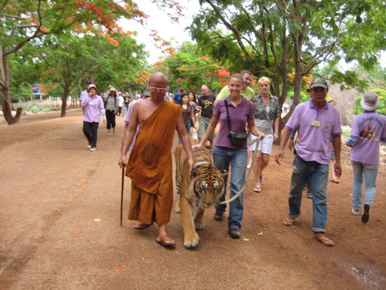 Going for a walk with the dog, emmm, tiger.