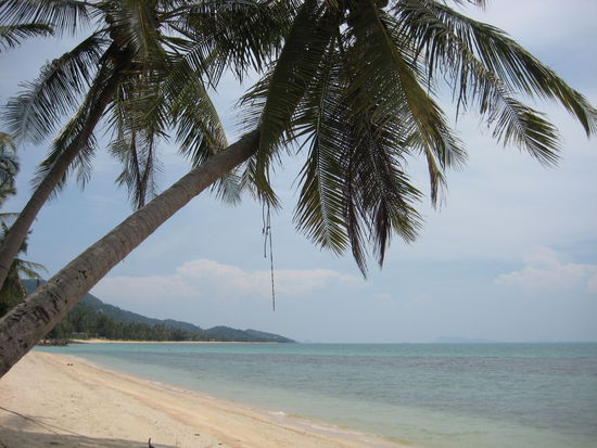 Best of Koh Samui
