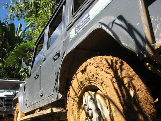 Jeep in the Jungle