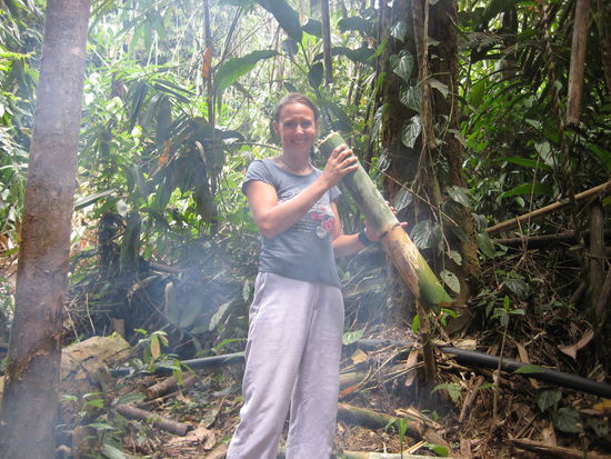 How to survive in the jungle: Smoke against the black bees and freshwater from the Bamboo trees...