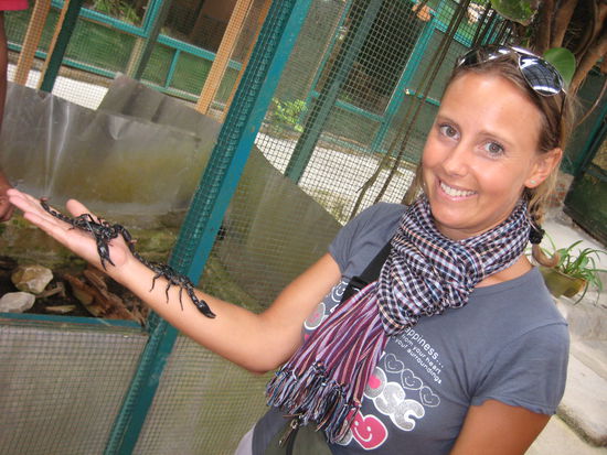 Skorpions on the skin, what a feeling!!!