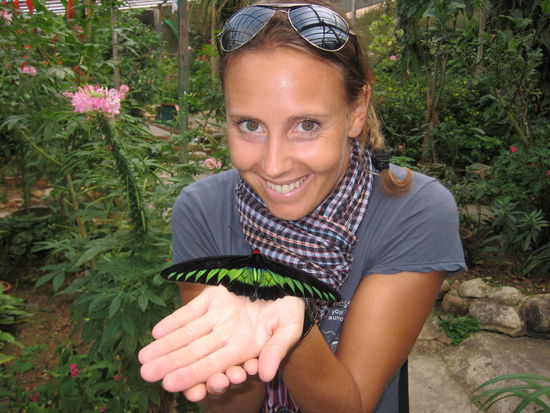 In the butterfly house