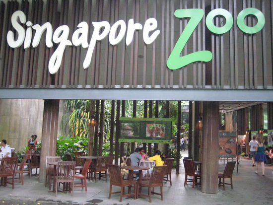 Entrance Singapore Zoo, come here to see the small and the big, the lokal and the international animals