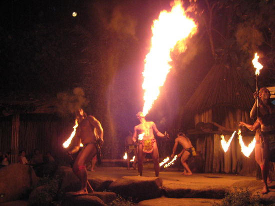 Night Safari, Singapore Zoo, see hot shows and animals at nighttime, nice, because it´s different.