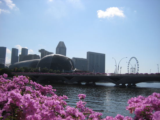 The Esplanade, The Theater on the Bay (left) and The Singapore Flyer (right)