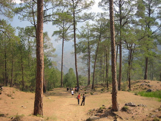 Hiking in the Himalaya region, close to McLeodGanj
