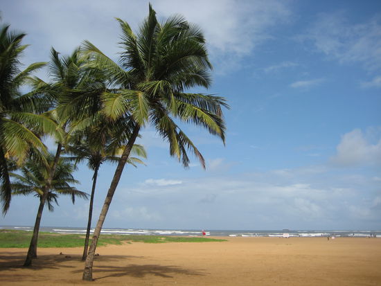 Goa is also famous for its beaches...