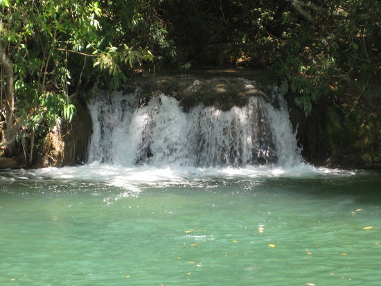 Bonito Banjos del Sol