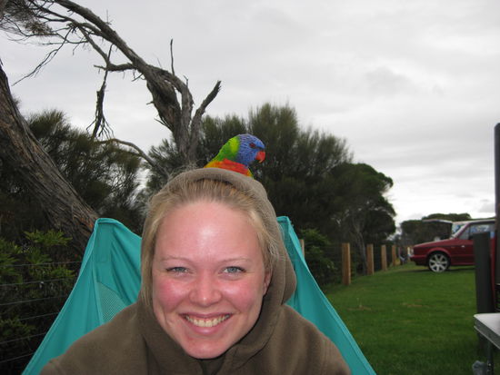 Jaja, der hat sich eingenistet...