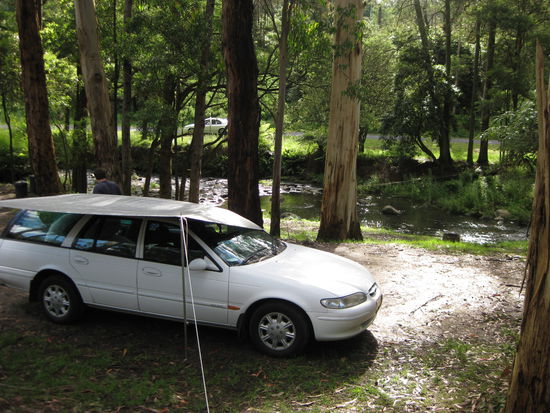 unser Platz am Tarra Bulga Nationalpark