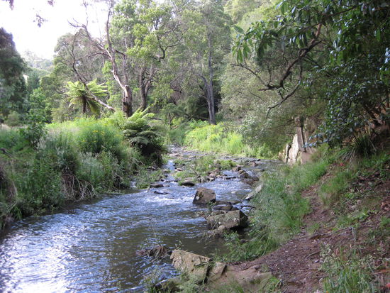 Bach hinter unserem Platz...
voll schoen!!