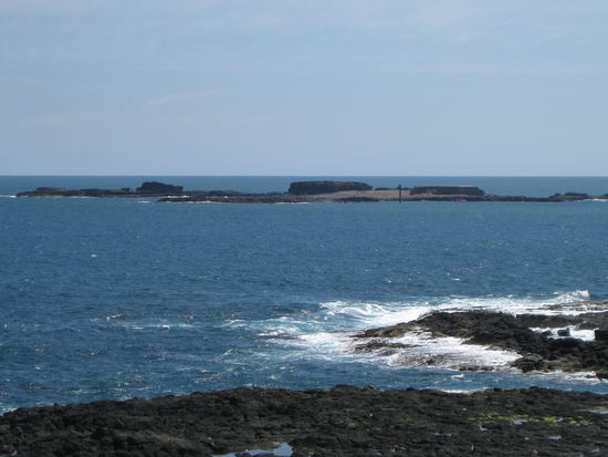 die Insel mit den 20.000 Seehunden