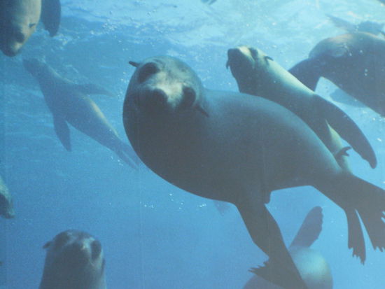 so sehen die Kleinen aus!