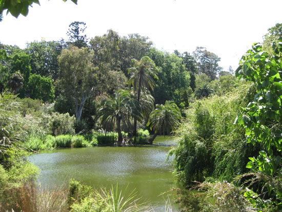 Botanischer Garten