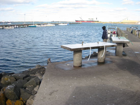 da sass er und hat gewartet, bis jemand einen Fisch ausnimmt ^^