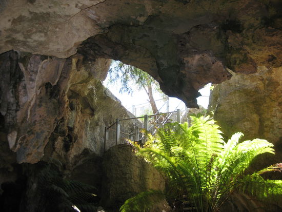 In den "Wet Caves" von "Naracoorte" - Ausgang
