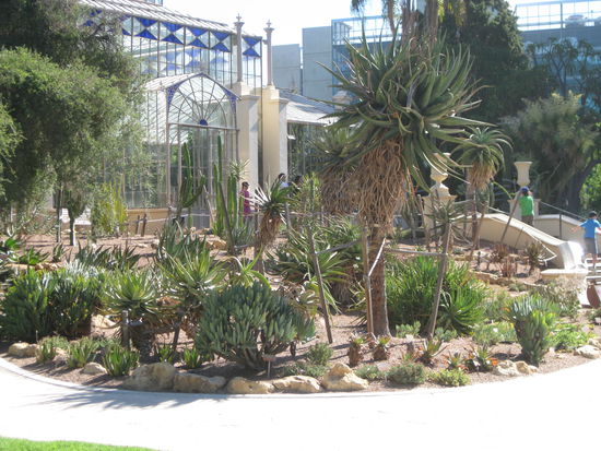 Palmenhaus mit Kakteen im Vordergrund
(Botanischer Garten Adelaide)