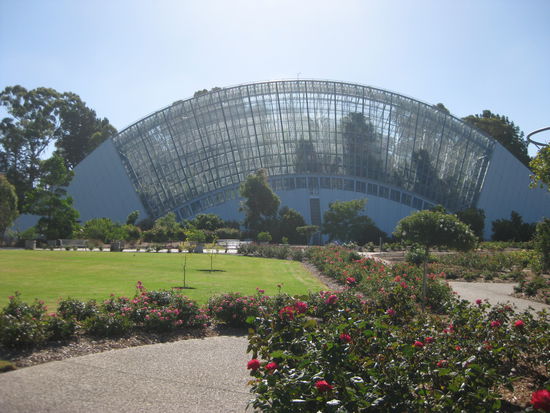 Kuenstlicher Regenwald, Botanischer Garten Adelaide