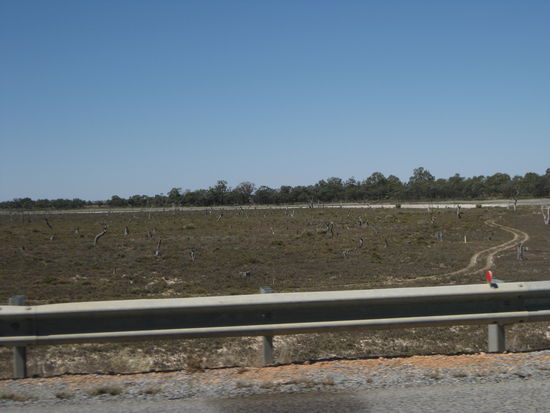 Eindruck von Unterwegs
